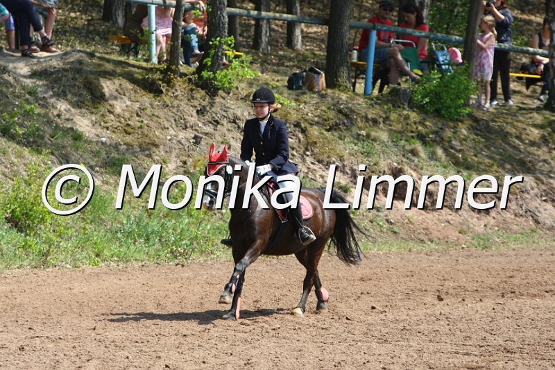 204M2747_Peggy_Spring RWB.JPG